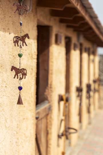 Seirios Riding Club gallery