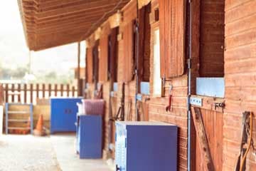 Seirios Riding Club gallery